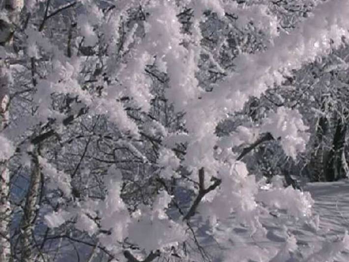 Ferienwohnung für 5 Personen, mit Garten und Balkon, kinderfreundlich im Lungau - 4