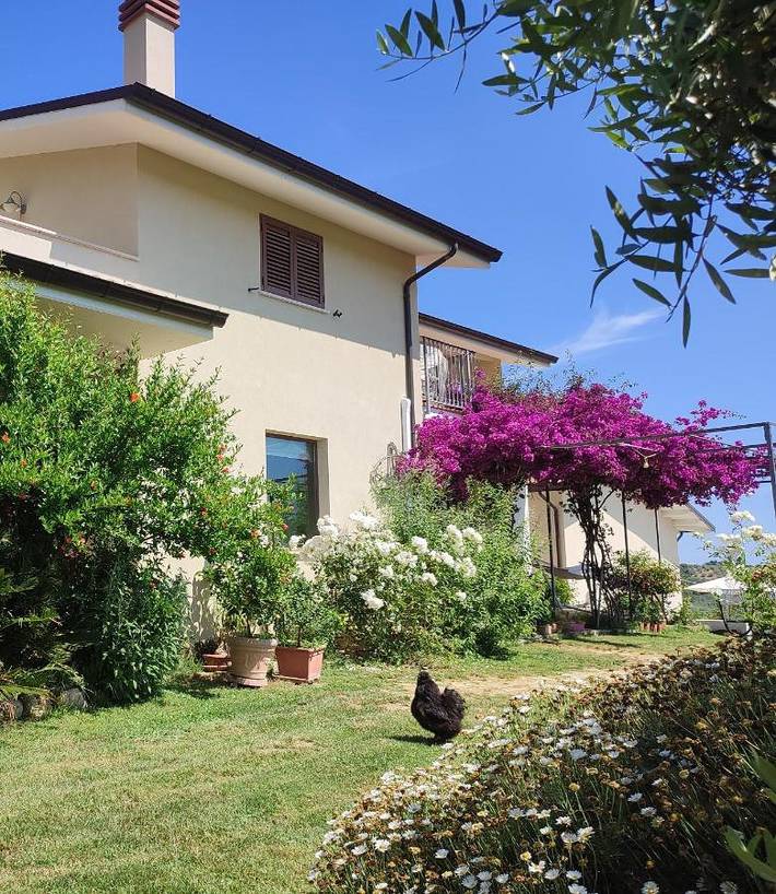 Gîte pour 6 personnes, avec vue et jardin, animaux acceptés à Casalbordino - 2