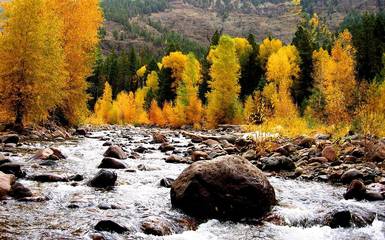 Bed And Breakfast for 4 Guests in Southwest Colorado, San Juan National Forest, Picture 3