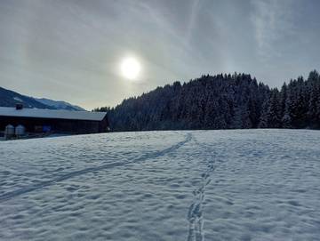 Chalet für 14 Personen in Wildschönau, Ski Juwel Alpbachtal Wildschönau, Bild 1
