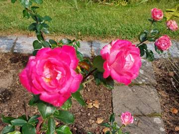 Feriehus til 8 Personer i Sæby, Nordøst-Jylland, Bilde 3