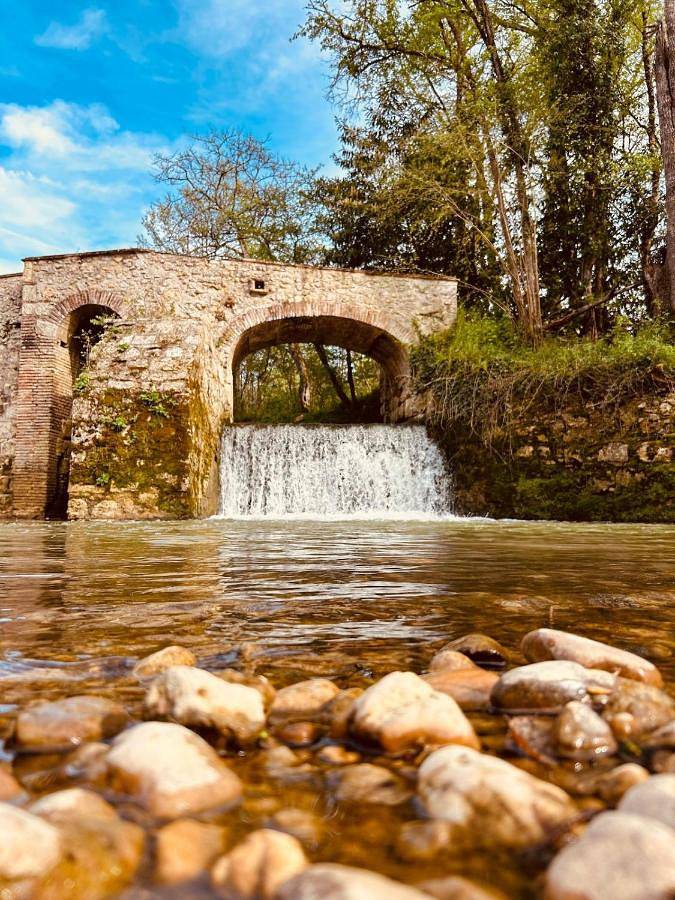 Location de vacances pour 12 personnes, avec Balcon et Jacuzzi ainsi que Terrasse et Jardin à Saint-Michel (Tarn-et-Garonne)