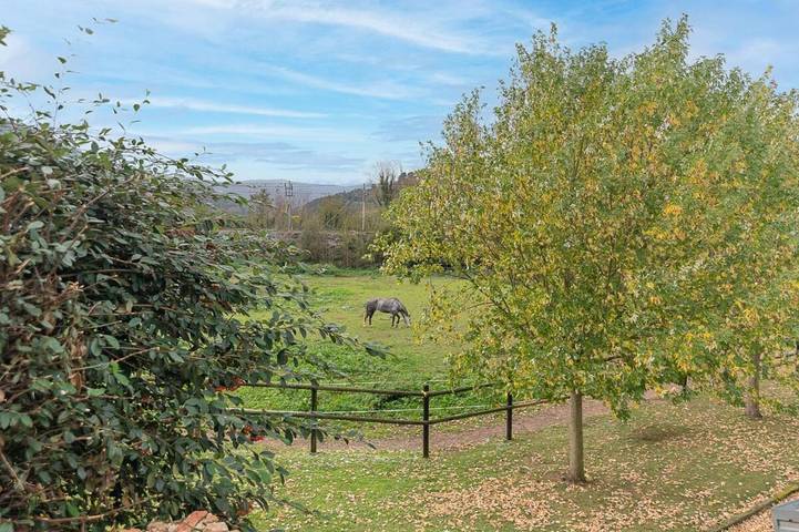 Casa rural para 10 personas, con jardín en Valle de Iguña - 4