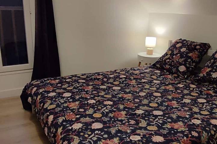 Location de vacances pour 4 personnes, avec jardin à Langeais - 3