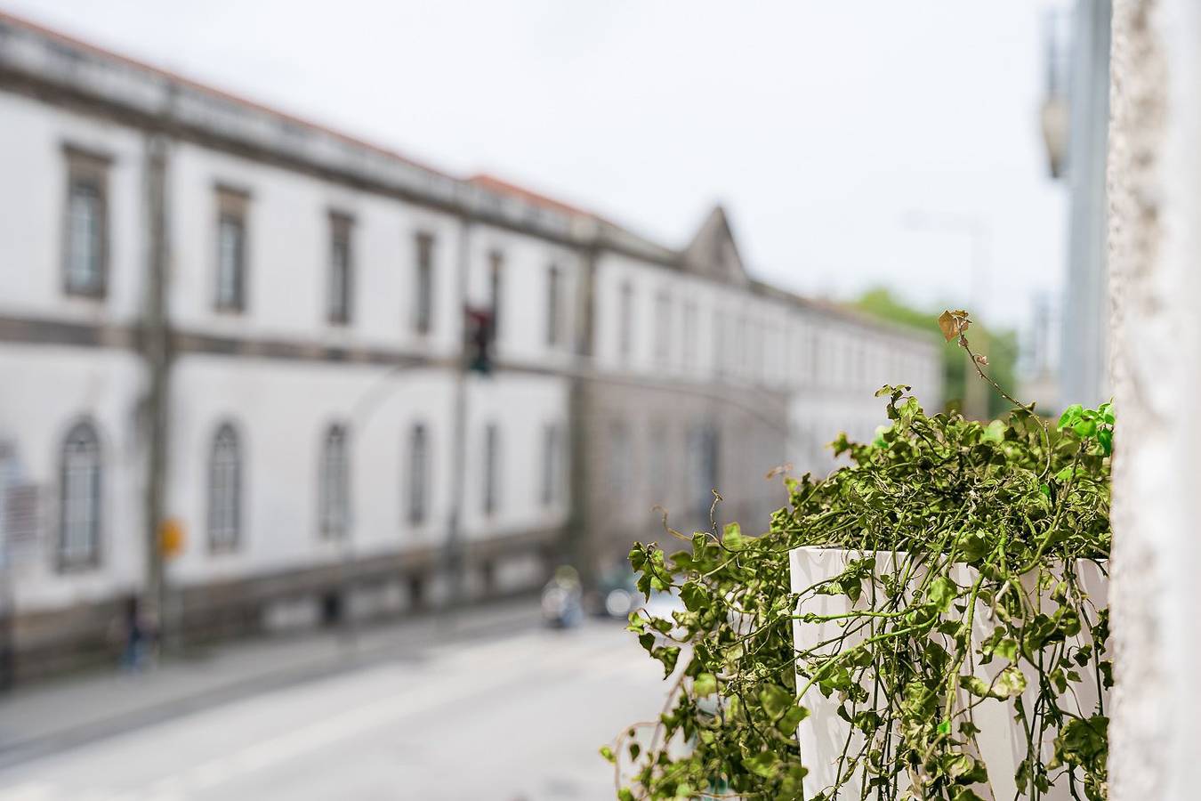 Estudio entero, Guestready - The New Olive in Miragaia (Porto), Oporto