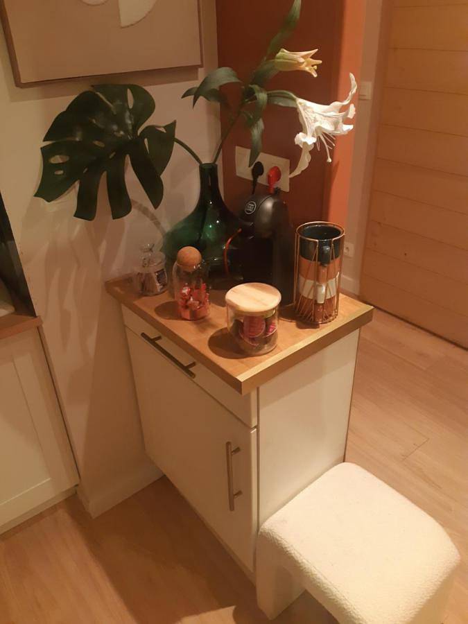 Gîte pour 2 personnes, avec terrasse à La Chapelle-sur-Erdre - 4