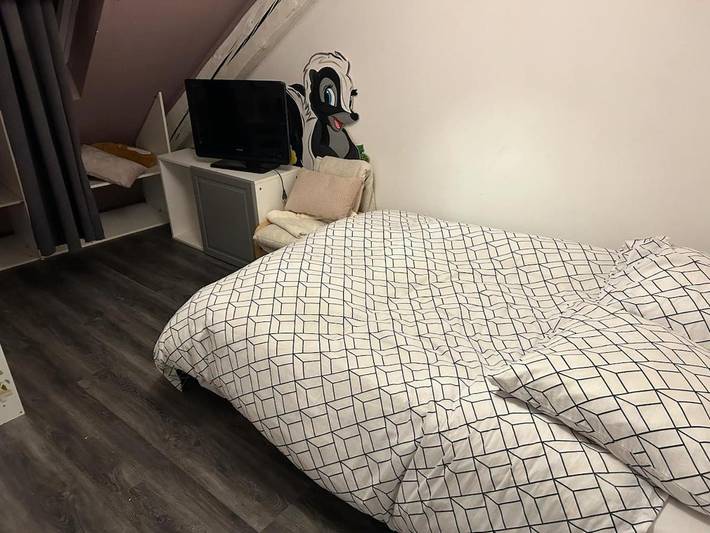 Gîte pour 9 personnes, animaux acceptés à Faverges - 2