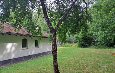 Bungalow für 6 Personen in Gerolstein, Eifel (Rheinland-Pfalz), Bild 1