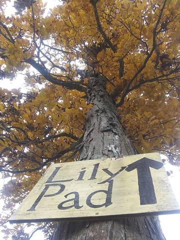 Casa Vacanza per 3 Persone in Ozark Mountains, Arkansas, Foto 4