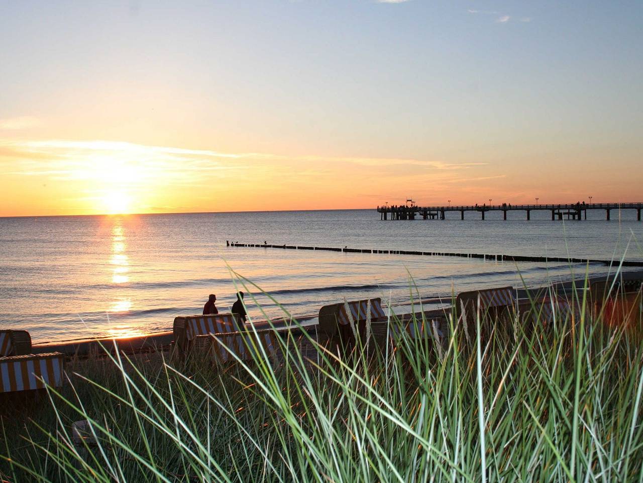 Ganze Ferienwohnung, Ferienhof Darsser Ort - Id 44214 - Ferienhof am Fischland Fw Darßer Ort in Ostseebad Wustrow, Wustrow