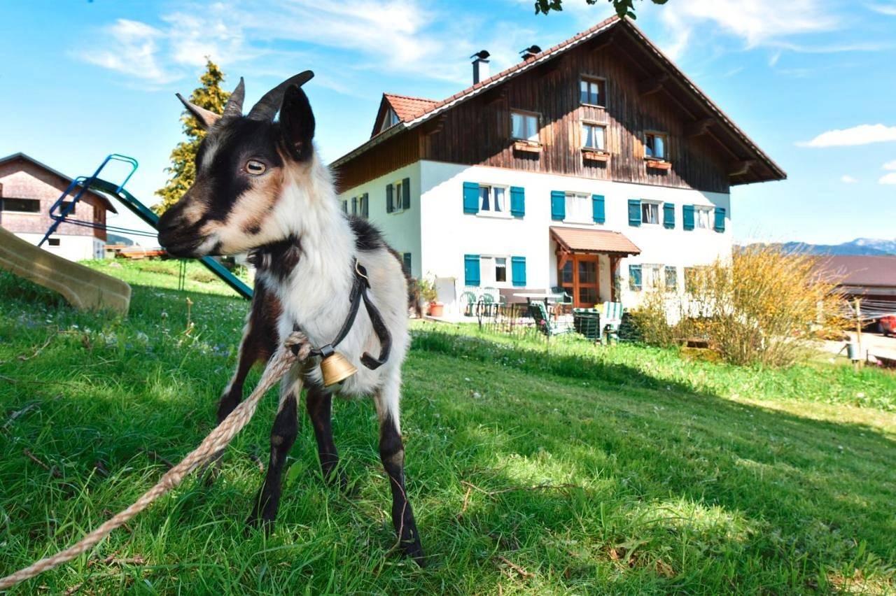 Ganze Wohnung, Lindenhof in Sulzberg (Österreich), Bregenzerwald