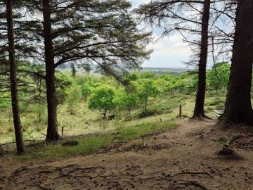 Ferienhaus für 16 Personen in Dänemark an der Nordsee, Bild 2