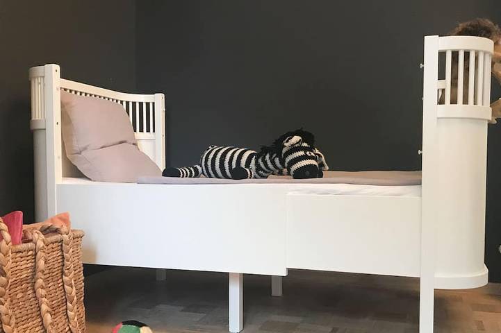 Haustierfreundliches Ferienhaus direkt am Meer -Last-Minute-Promotion 15% Rabatt in Dajla, Umag und Umgebung