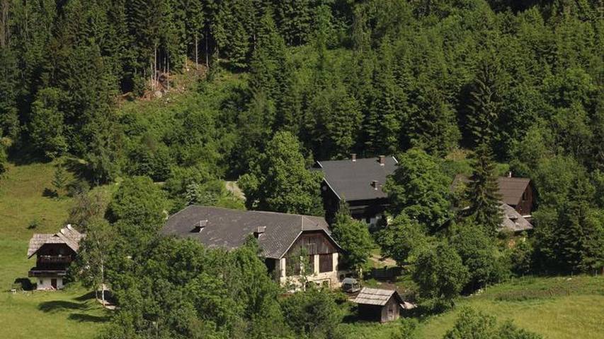 Ferienwohnung für 2 Personen, mit Garten, kinderfreundlich in Gerlitzen