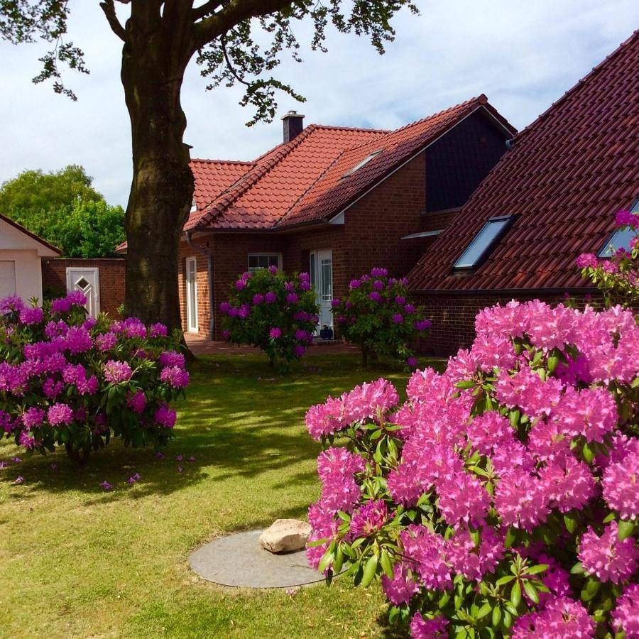 Ganze Wohnung, Apartment in Blomberg (Ostfriesland), Landkreis Wittmund