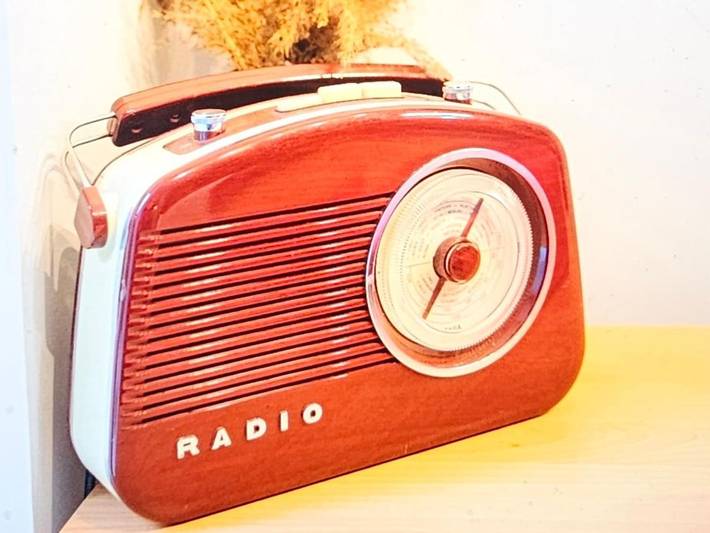 Gîte pour 2 personnes, avec jardin et vue à Pierre-Bénite - 4