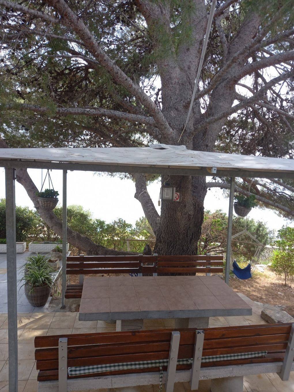 House Ana in Maslinica, Solta