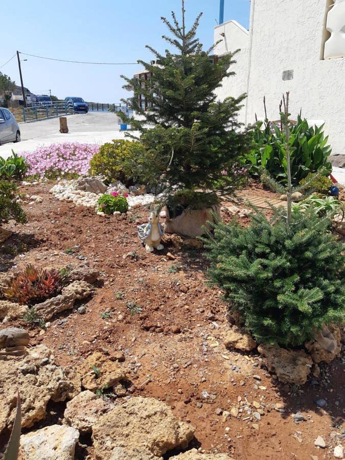 Ferienhaus für 2 Personen, mit Ausblick und Garten, mit Haustier auf Kreta - 4