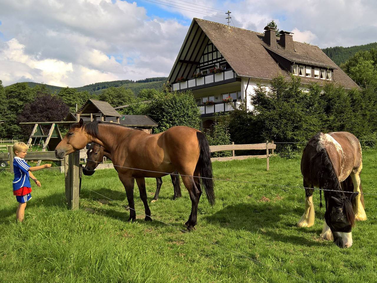 Ferienwohnungen Lennehof - Ferienwohnung Typ A Ponyweide, 47qm, 2 Schlafzimmer, max. 4 Personen in Lennestadt, Sauerland