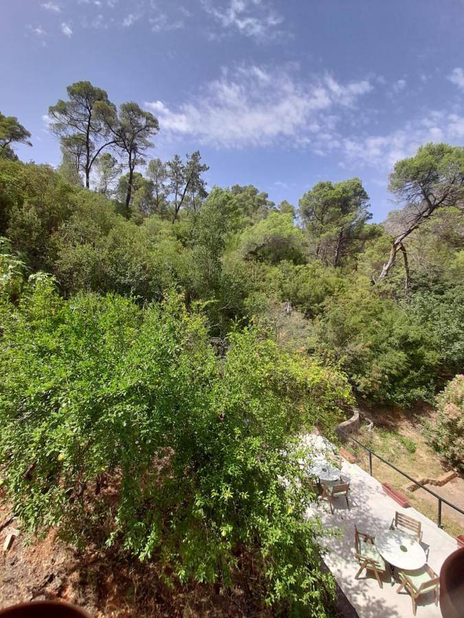 Hotel para 2 personas, con piscina y vistas además de terraza y jardín en Provincia de Jaén - 2