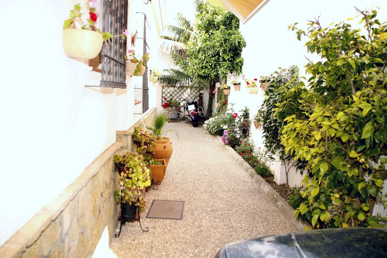 Ganze Ferienwohnung, 300 Meter bis zum Strand - Caracola Wohnung mit Garten in Chipiona, Costa de la Luz