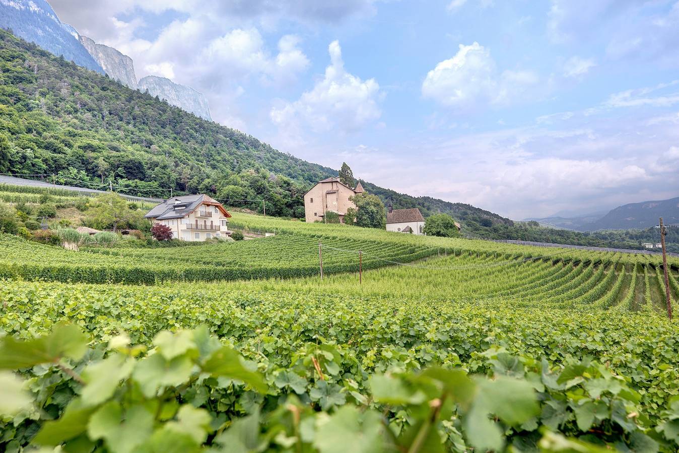 Zimmer „Harmony“ mit Bergblick, Gemeinschaftsgarten und Wlan in Berg (Eppan), Eppan an der Weinstraße