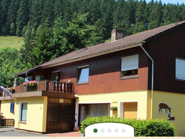 Ferienwohnung für 4 Personen, mit Balkon und Terrasse sowie Garten in Wildemann