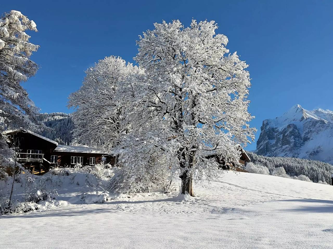 Haus 9 Personen in Schwendi b. Grindelwald, Grindelwald