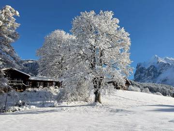 Villa für 9 Personen in Grindelwald, Kanton Bern, Bild 1