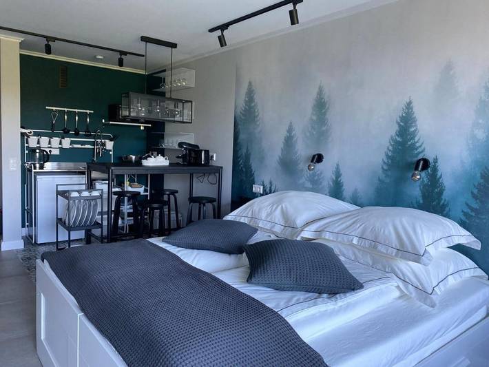 Gîte pour 4 personnes, avec balcon et vue, animaux acceptés dans Kniebis - 3