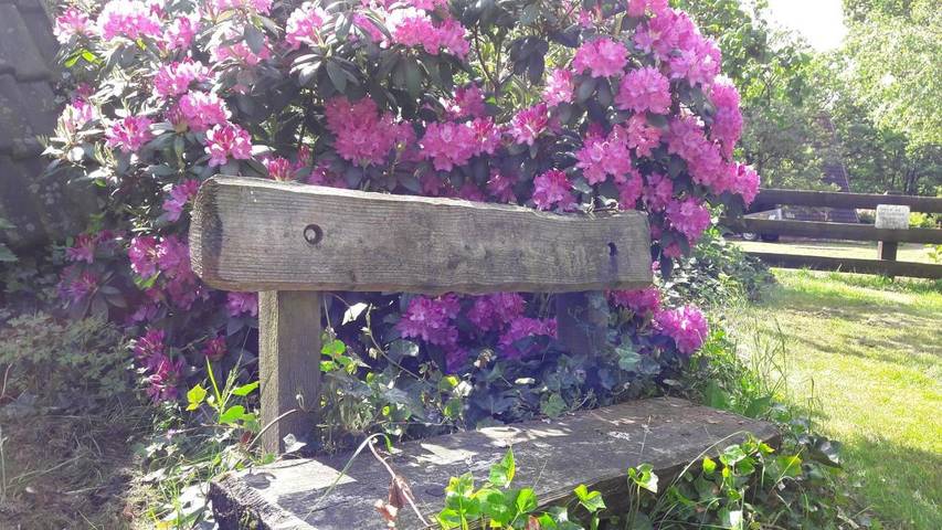 Location de vacances pour 6 personnes, avec jardin, adapté aux familles à Walsrode - 2