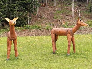 Apartament Wakacyjny dla 8 osoby w Danta di Cadore, Dolomity Wschodnie, Zdjęcie 1