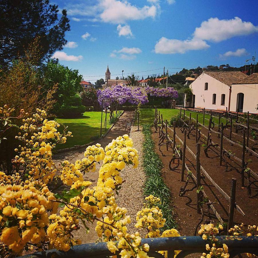 Guesthost - Villa Ninina in the Heart of Etna Park in Trecastagni, Etna