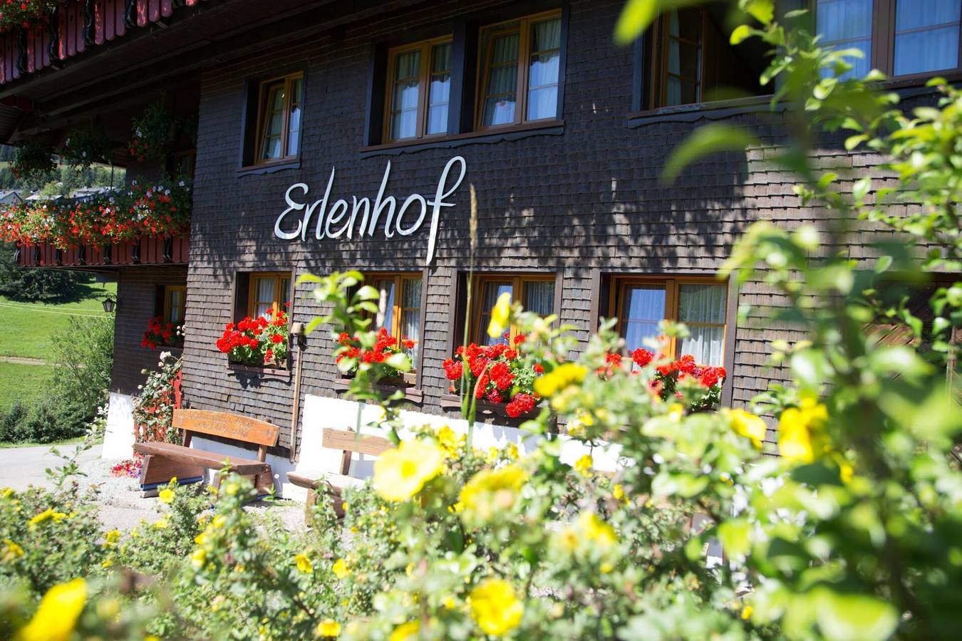 Ganze Wohnung, Ferienwohnung 'Löffelmatt' in der 2. Etage, für 2-3 Personen in Todtnauberg (Todtnau), Todtnau