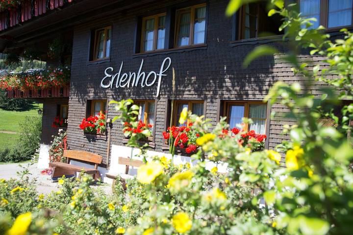 Ganze Wohnung, Ferienwohnung 'Schwarzwald'  in der 1. Etage, für 2 Personen in Todtnauberg (Todtnau), Todtnau