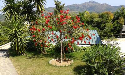 Location De Vacances pour 5 Personnes dans Capoliveri, Ile d'Elbe, Photo 2