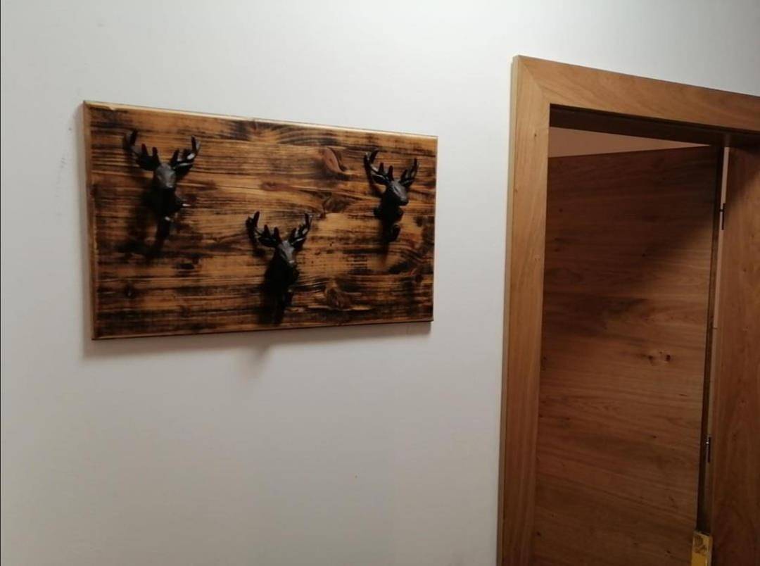 Ganze Ferienwohnung, Appartement/Fewo, Bad, Wc, gartenseitig in Millstatt, Bezirk Spittal an der Drau