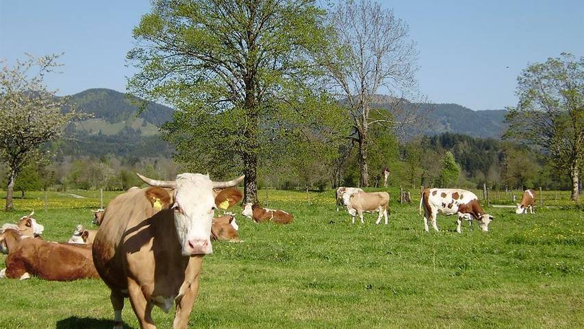 Ferienwohnung für 4 Personen, mit Garten in Lenggries - 2