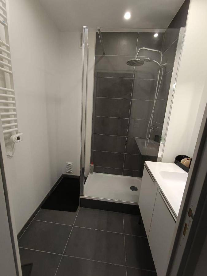 Gîte pour 4 personnes, avec jardin, animaux acceptés à Roubaix - 2