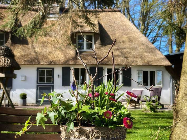 Ferienhaus für 4 Personen, mit Terrasse und Garten sowie Sauna in Rabenkirchen-Faulück - 3