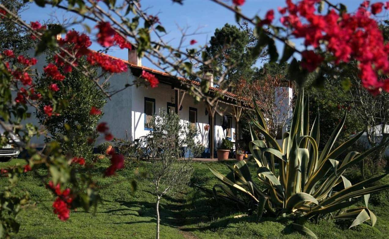 Apartment with Pool View in São Teotónio, Costa Alentejana