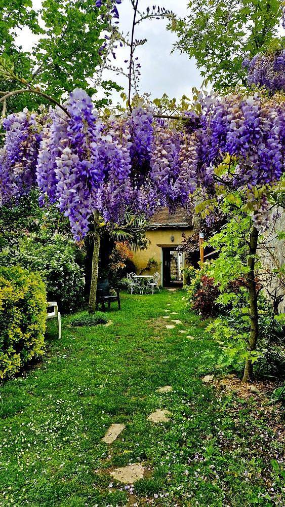 Gîte for 6 people, with garden and terrace, with pets - 1