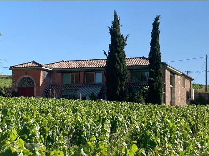 Maison de vacances pour 12 personnes, avec Terrasse ainsi que Jardin et Vue à Fleurie