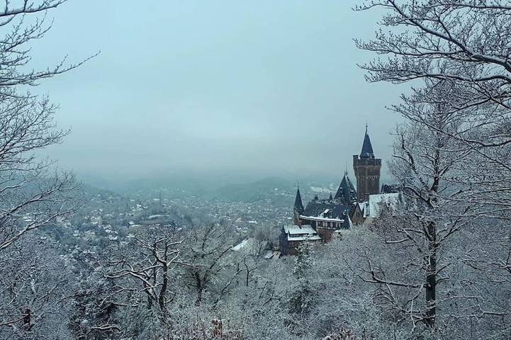 Ferienwohnung für 4 Personen, mit Balkon in Schloss Wernigerode - 2