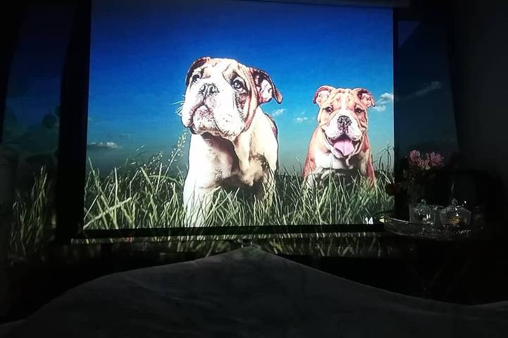 Location de vacances pour 2 personnes, avec jacuzzi à Brassac (Tarn) - 4