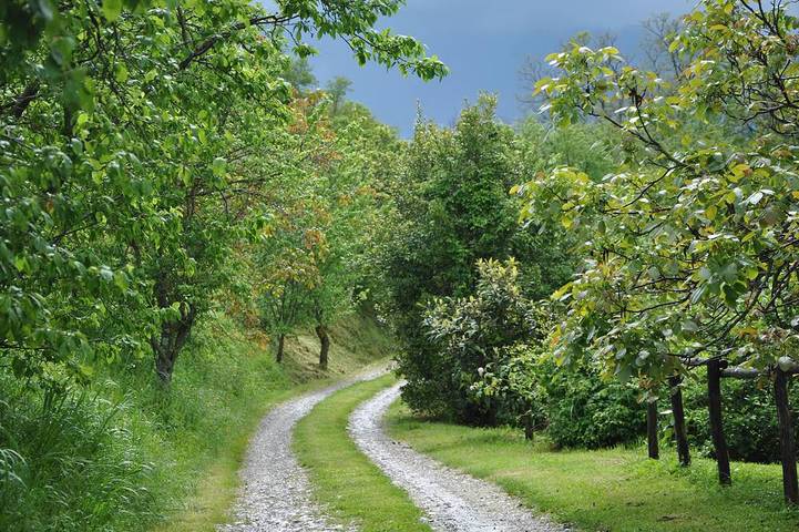 Gîte pour 4 personnes, avec jardin à Radicondoli