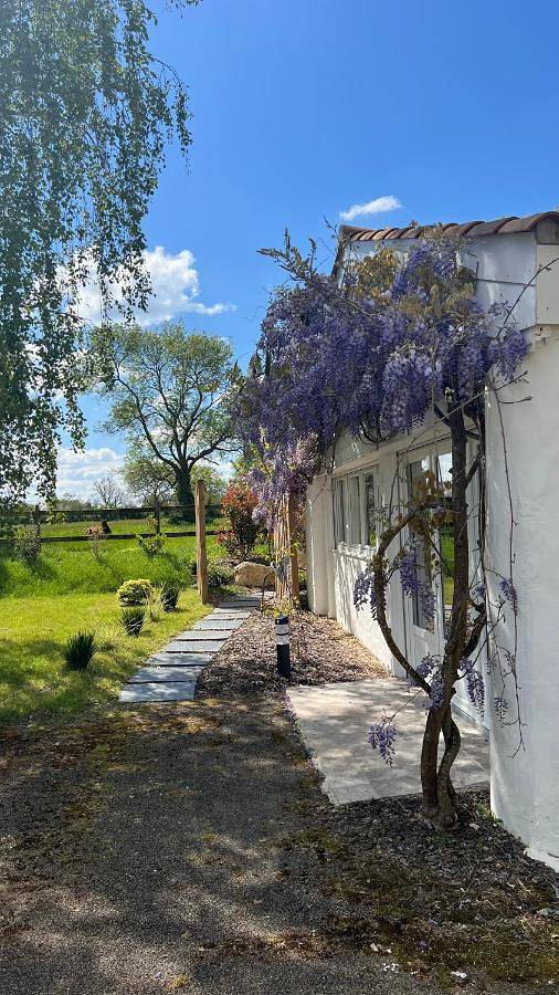 Gîtes de charme "l'écrin de Vendée" jacuzzi privatif, piscine chauffée, prestations bien être, vélos à 10 mn de l'océan sur 3,5 h de verdure in Sallertaine, Vendée