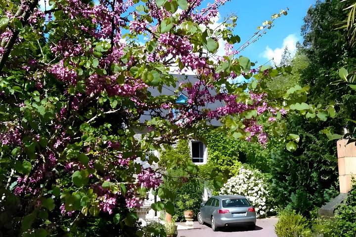 Location de vacances pour 5 personnes, avec jardin à Bacilly - 2