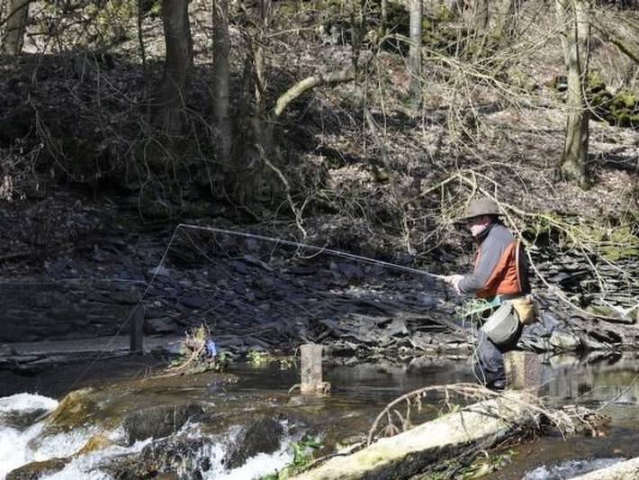Ferienwohnung für 4 Personen, mit Garten in Monschau - 4
