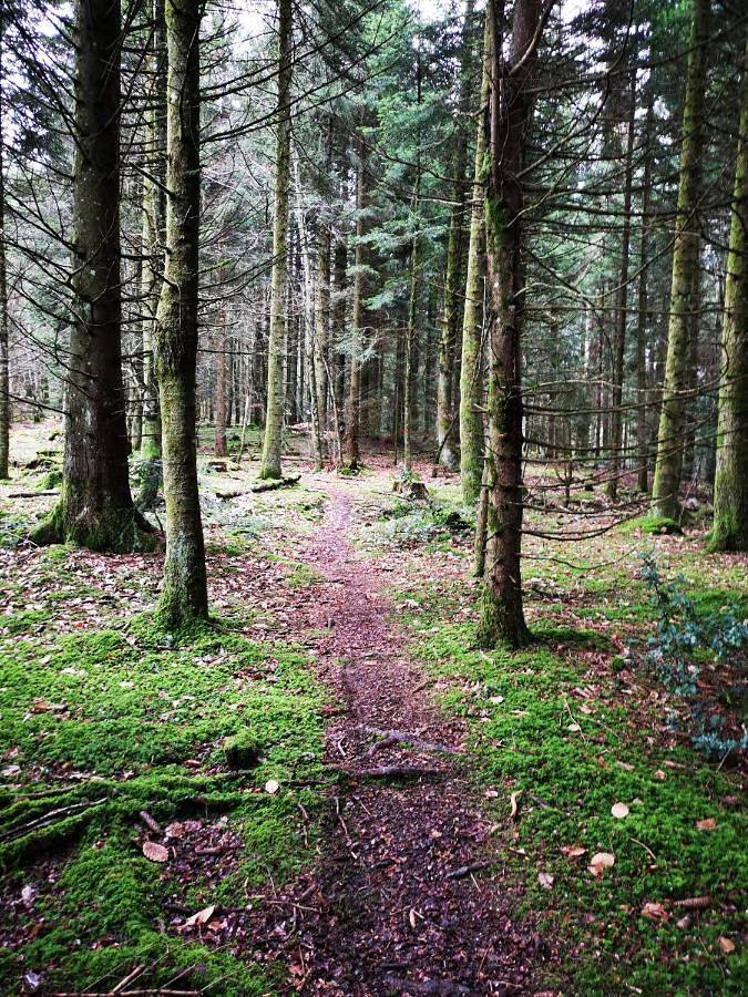 Location de vacances pour 2 personnes, avec piscine ainsi que jardin et vue à Miribel-les-Échelles - 4
